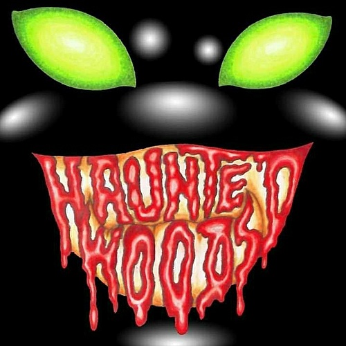 The Haunted Woods 2022 poster