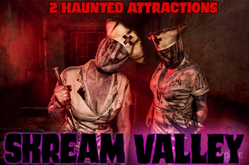 SKREAM VALLEY poster