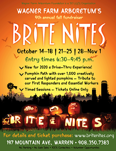 Brite Nites 2020 poster