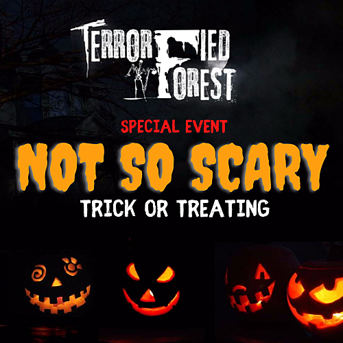 Not So Scary Trick or Treating  poster
