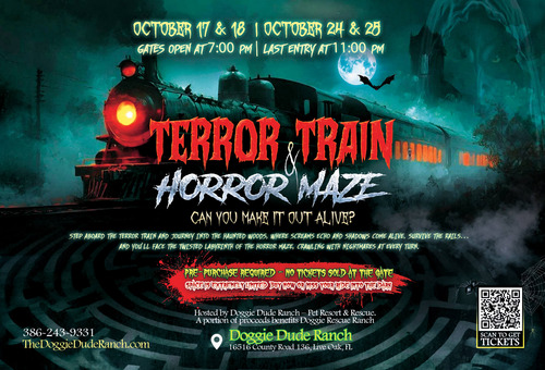 Terrifying Train Adventure at Doggie Dude Ranch! poster