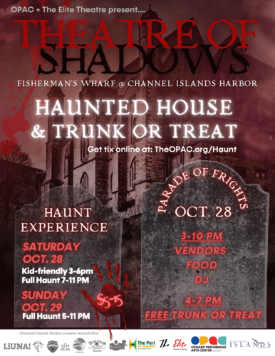 Theatre of Shadows poster