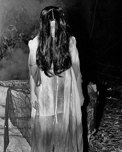 Dark Forest at Burn Brae Mansion 2021 image