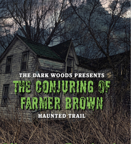 The Dark Woods Haunted Forest  poster