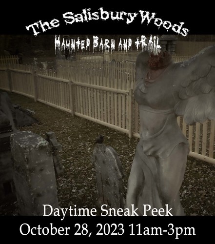 The Salisbury Woods - Daylight Sneak Peek (2023) poster