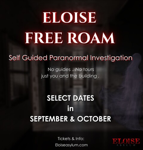 Eloise Asylum | Eloise Free Roam poster