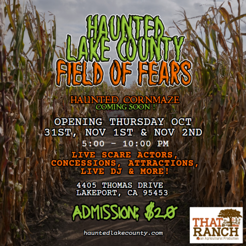 Field of Fears-Presented by Haunted Lake County poster