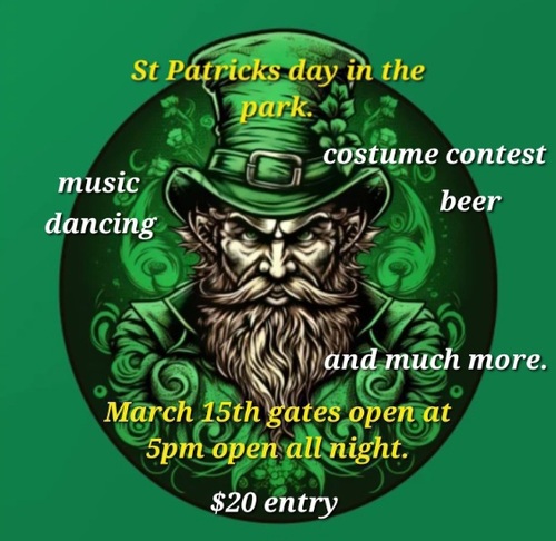 Rock the Park: St. Patrick's Day Celebration poster