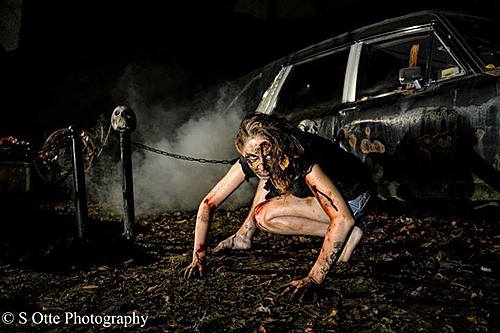 BloodShed Farms Fear Fest 2017 image