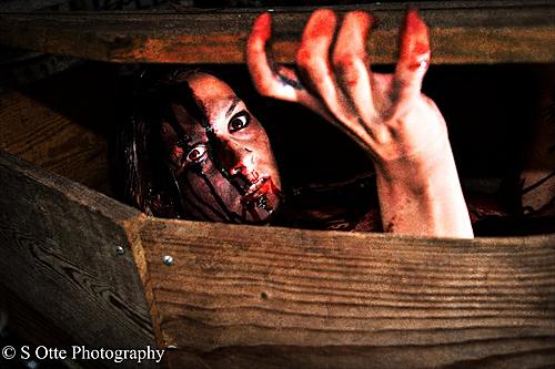BloodShed Farms Fear Fest 2017 image
