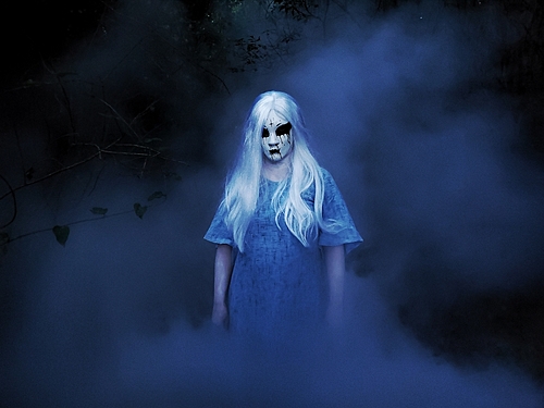 Wicked South Haunted Corn Maze image