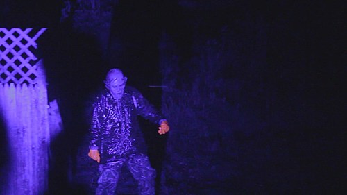 Field of Screams 2018 image