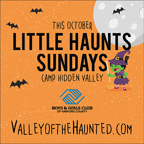 2017 Little Haunts at Camp Hidden Valley poster