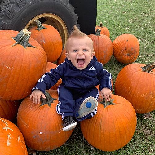 Pumpkin Fest 2023 image