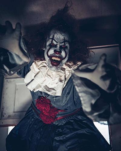 The House of Shadows image