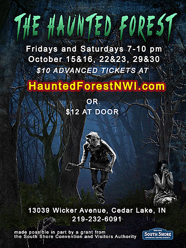 The Haunted Forest poster