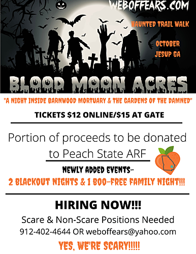 WEB OF FEARS Haunted Forest Trail Walk - 2022 poster