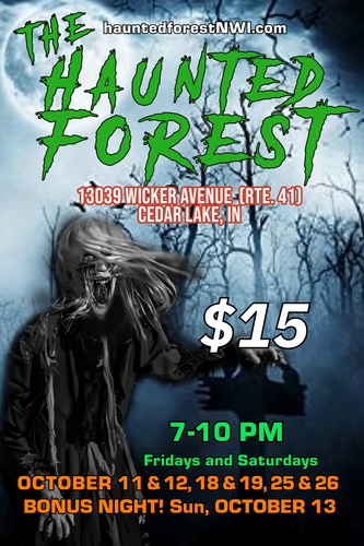 The Haunted Forest poster