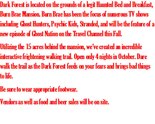 Dark Forest at Burn Brae Mansion image