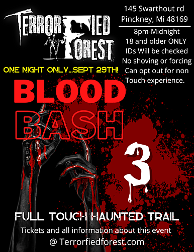 Blood Bash 3 poster