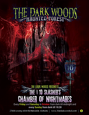 The Dark Woods Haunted Forest  poster